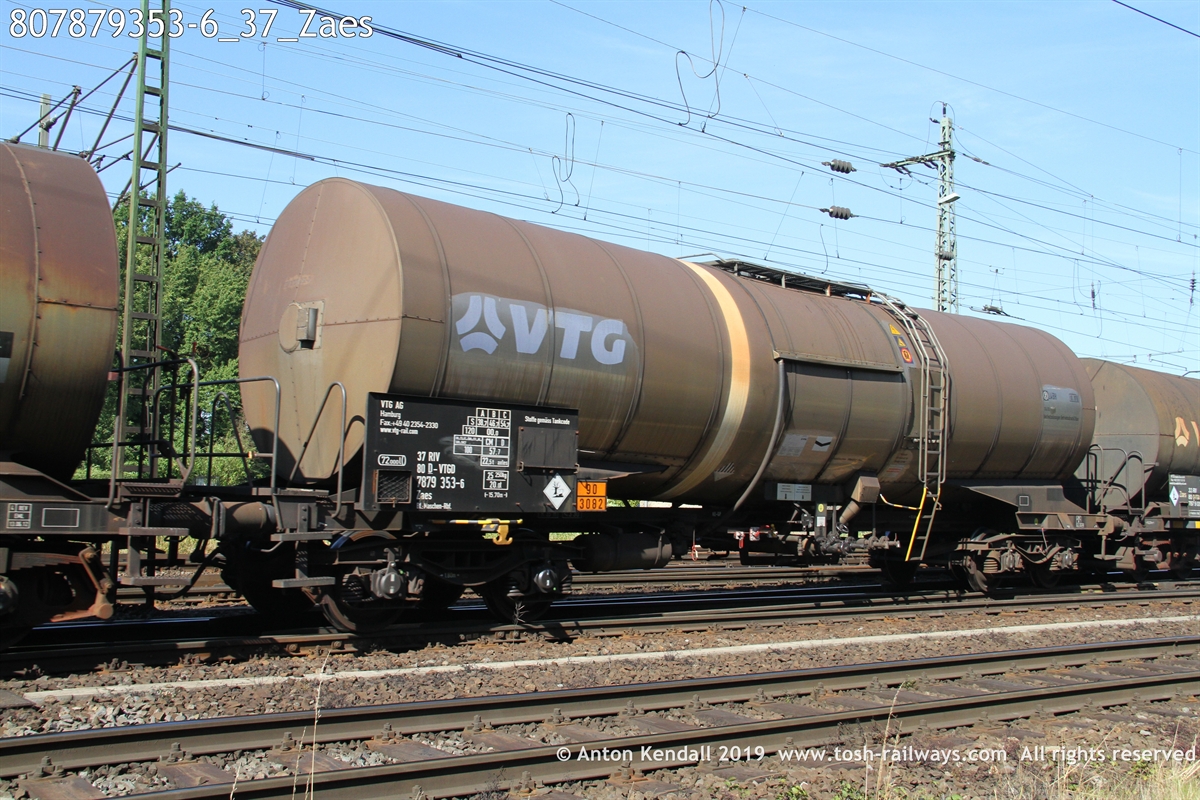 807879353-6_37_Zaes.JPG